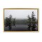 Stupell Industries Adirondack Lake Reflections Floating Frame, design by James Rodewald